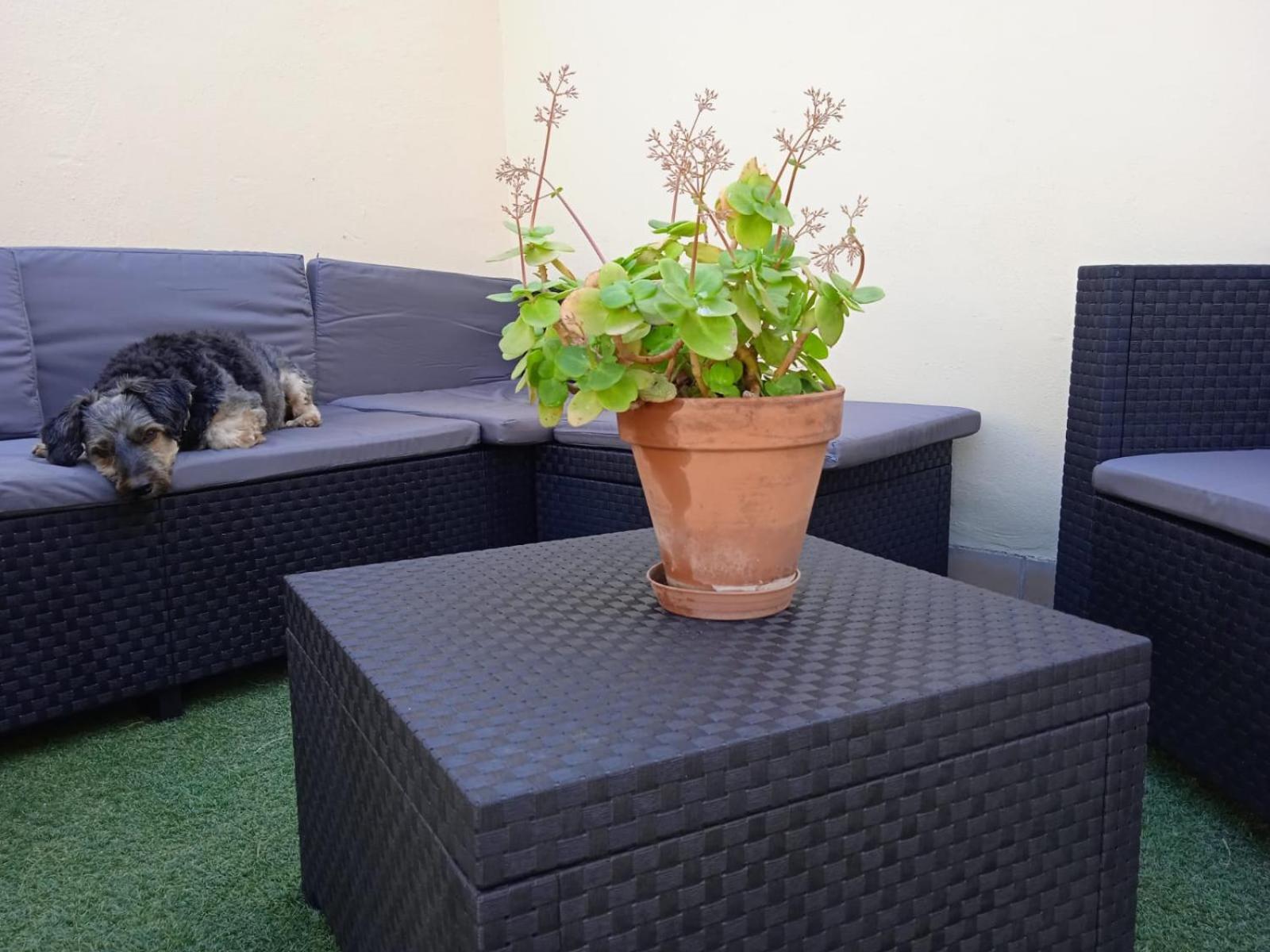 Livingtarifa Apartamento Nano Extérieur photo
