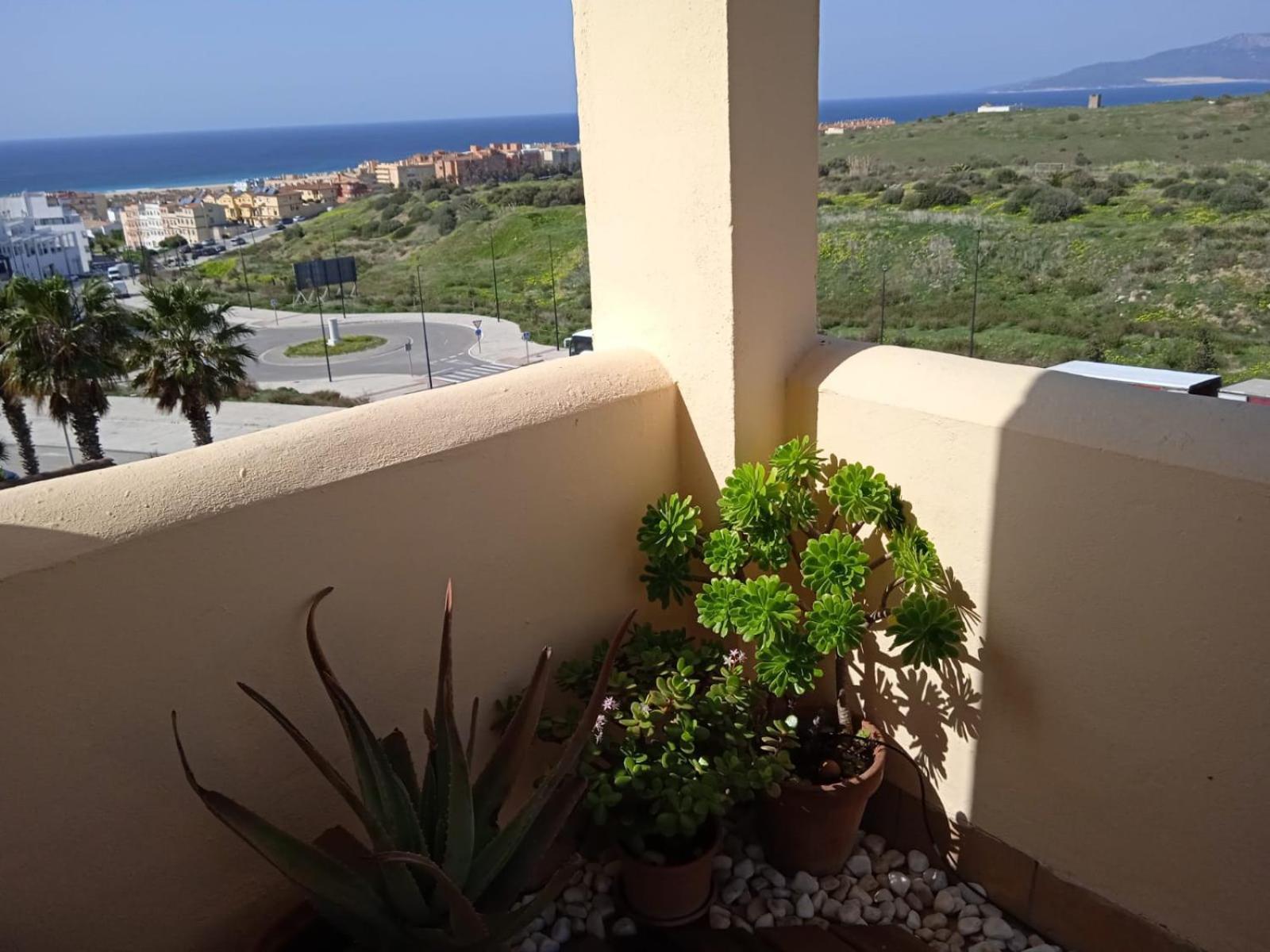 Livingtarifa Apartamento Nano Extérieur photo